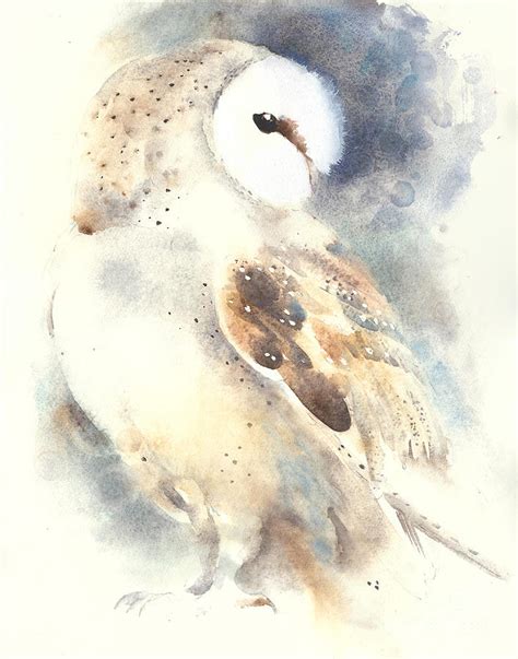 Barn Owl Watercolor Art Painting By Yulia Shevchenko Fine Art America