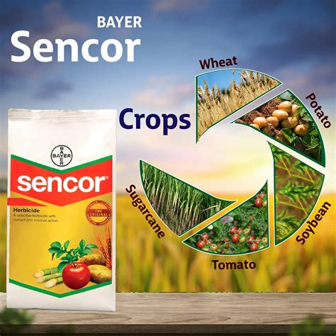 Bayer Sencor Herbicide, बायर शाकनाशी - Agriplex Private Limited ...