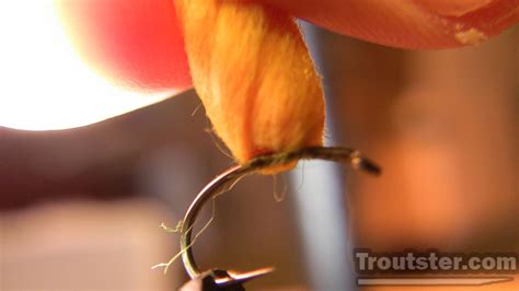 Egg Fly Patterns How To Tie Them And When To Use Them Troutster