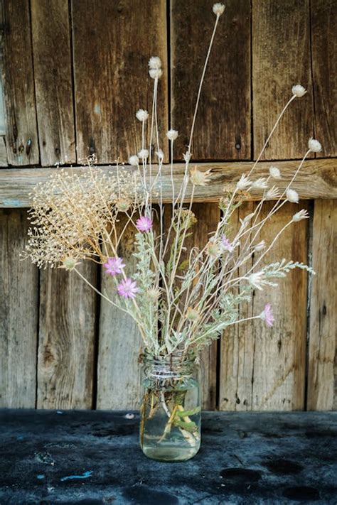 Decorative Arrangement of Flowers · Free Stock Photo