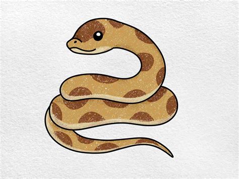 Cute Hognose Snake Drawing