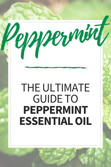 How To Use Peppermint Essential Oil Artofit