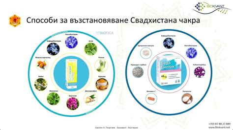 Фитолизат ГАСТРО - Представяне на основните аспекти от Свилен Георгиев ...