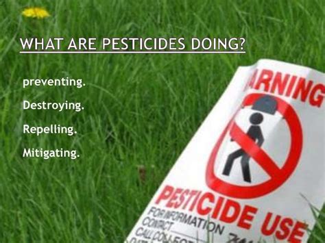 The use of alternatives to pesticides other than chemicals.