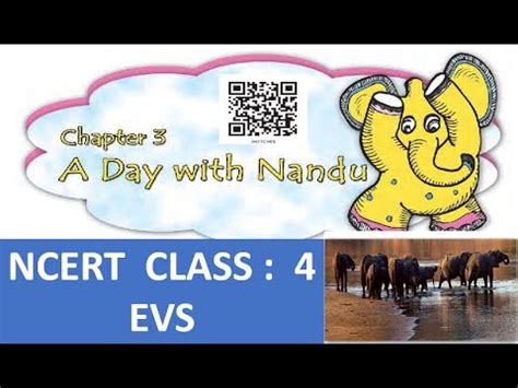 A Day With Nandu Class Evs Youtube