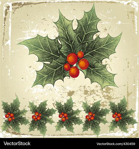 Christmas holly Royalty Free Vector Image - VectorStock