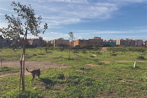 Bum Recurre Autorizaci N Ambiental A La Urbanizaci N De Los Terrenos De