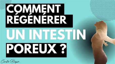 Comment régénérer un INTESTIN poreux SII colopathie maladie