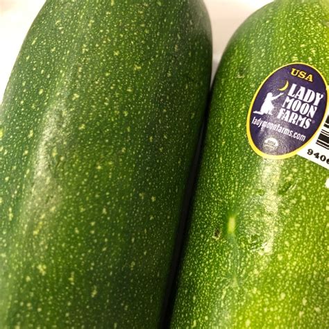 Lady Moon Farms Organic Zucchini Reviews Abillion