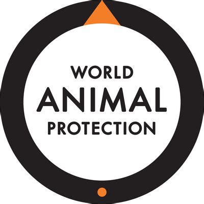 World Animal Protection appoints new Head of Global Celebrity ...