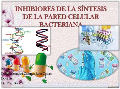 Inhibidores de la síntesis de la pared celular bacteriana Maryhory E