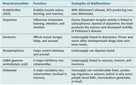 Neurotransmitters And Their Functions Chart