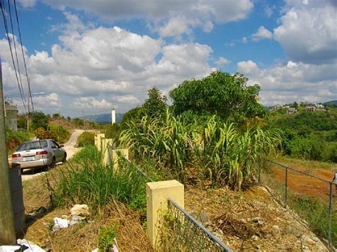 Residential Lot For Sale In Marshalls Pen New Green Manchester Jamaica