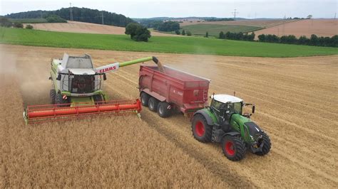 Dinkel Ernte 2021 mit dem CLAAS LEXION 750 Mähdrescher harvest