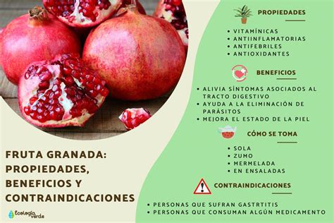 Fruta Granada Propiedades Beneficios Y Contraindicaciones Gu A Completa