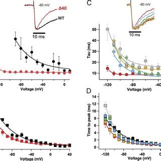 Graded Effects Of C Terminal Tail Truncations On Late Use Dependent