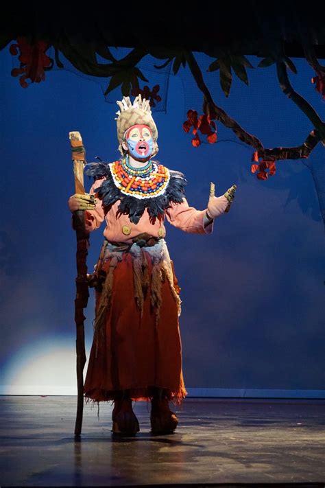 Lion King Jr Costumes Artofit