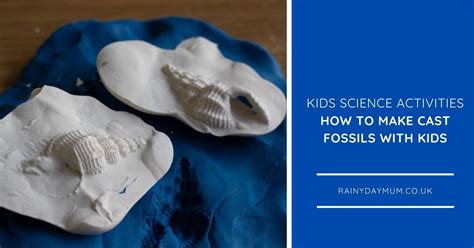 Step By Step Guide On How To Make Cast Fossils With Kids