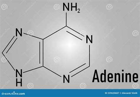 Adenine Purine Nucleobase Molecule Base Present In DNA And RNA