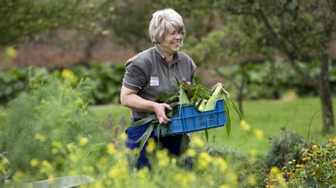 The Walled Kitchen Garden At Clumber Park National Trust