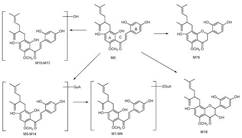 Molecules Free Full Text Use Of An Uhplc Msms Method For