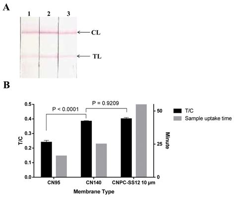 Selection Of Nitrocellulose Membrane A Images Of Negative Controls