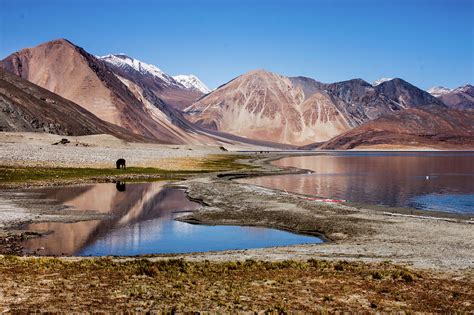 Pangong Tso Photograph by Divya Ramkrishnan