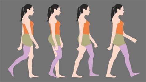 Gait Cycle Phases Definition And Analysis Physiosunit