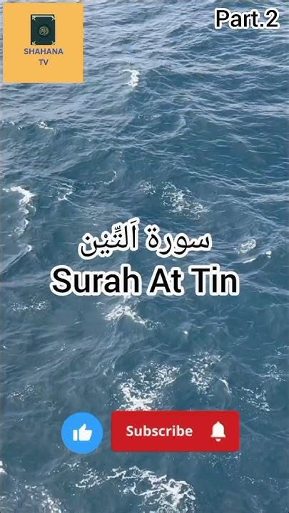 Surah At Tin Quran Beautiful Recitation Part2shorts Youtube