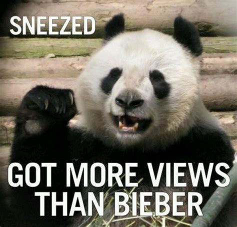 Sneezing Panda Meme Subido Por Ihartny Memedroid