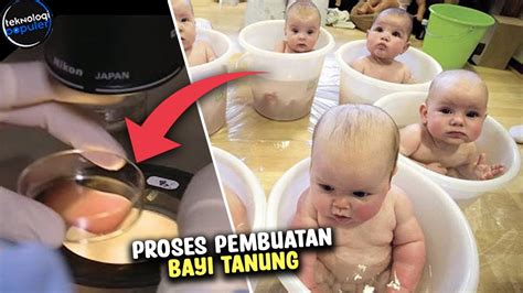 Program Bayi Tabung Bahaya Ternyata Begini Proses Pembuatan Bayi