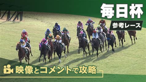 毎日杯giii2024 参考レース 競馬予想動画 Netkeiba