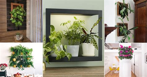 71 Amazing Indoor Plants as Picture Frame Ideas