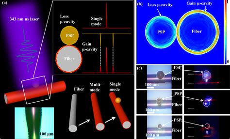 Pump Controlled Rgb Single Mode Polymer Lasers Based On A Hybrid 2d 3d