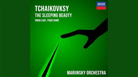 Tchaikovsky The Sleeping Beauty Op 66 TH 13 Prologue 3 Pas De