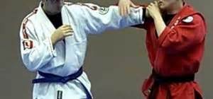 How to Do a Jiu Jitsu wrist lock (Nikkajo) « Martial Arts :: WonderHowTo