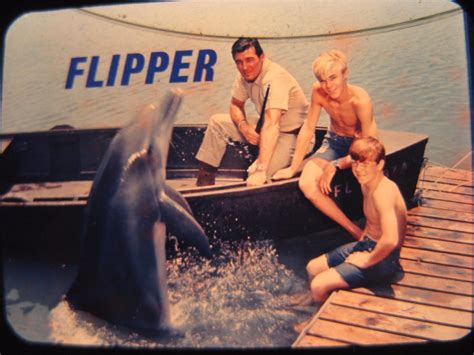 Flipper Tv Series Luke Halpinbrian Kellytommy Norden Nbc Promo