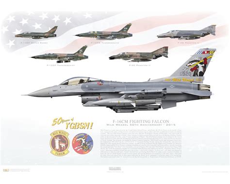 Aircraft profile print of F-16CM Fighting Falcon - Wild Weasel 50th ...