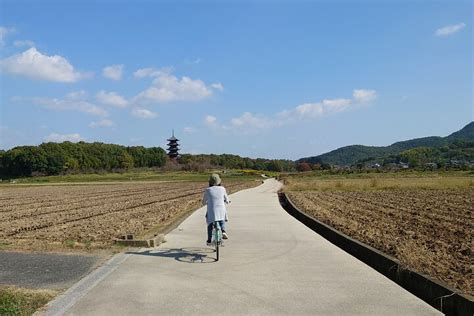 Tripadvisor Fietsen Op KIBIJI Road En White Peach Parfait Making