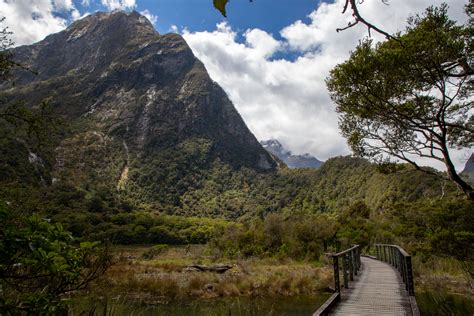 Best of Milford Sound | Hiking the World