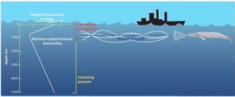 NOAA Ocean Explorer: Sounds in the Sea 2001: diagram of how sound ...