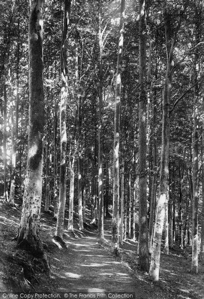 Photo Of Brecon Priory Groves 1899 Francis Frith