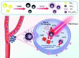 Full Spectrum Responsive Wo X Ha Nanotheranostics For Nir Ii