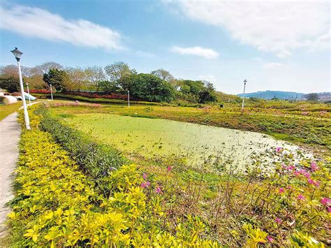 老外來台必經 都市之癌變綠地 新北「這區」成政績 謝金河再讚侯友宜有魄力 其他 旺得富理財網