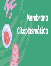 membrana citoplasmatica pdf Membrana Citoplasmática Citología Toda