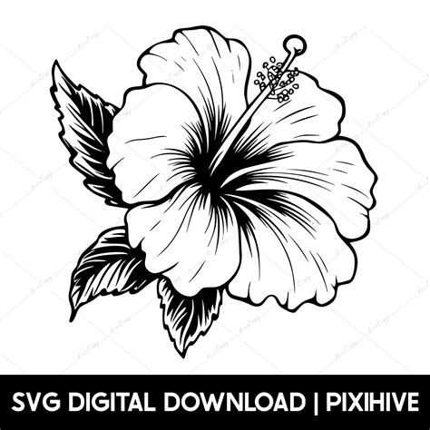 Hibiscus Svg Hawaii Svg Hawaiian Flower Svg Hibiscus Flower Svg Aloha Svg Tropical Flower