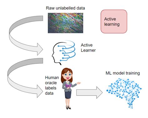 Automation In Data Labeling Platforms A Comprehensive Guide