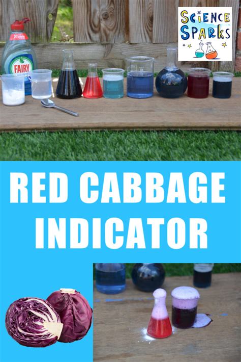 Red Cabbage Indicator Method