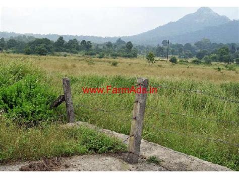 1 Acre Beautiful River Side Agricultural Land For Sale In Dahanu