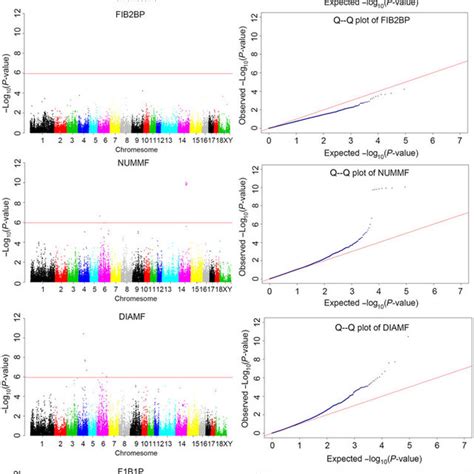 Colour Online Manhattan And Quantile Quantile Q Q Plots For The Download Scientific Diagram